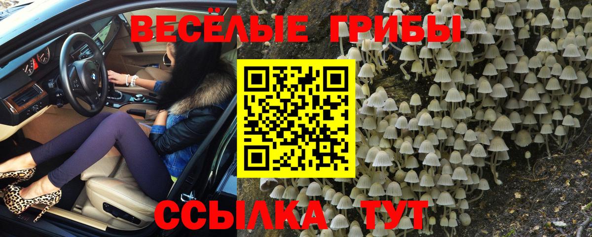 Галлюциногенные грибы прущие грибы Бахчисарай