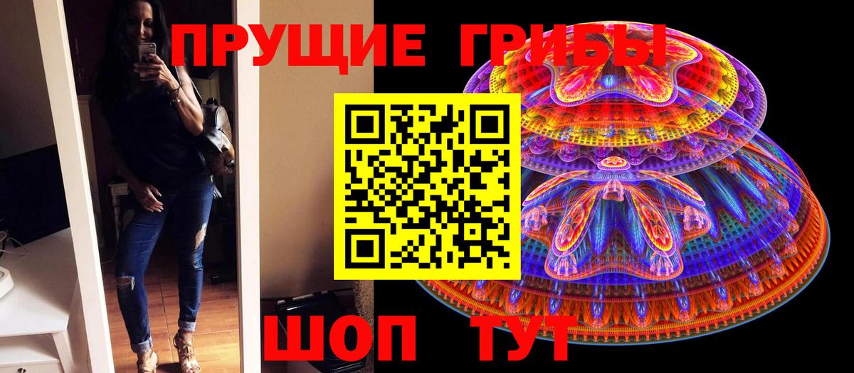 Бахчисарай  где продают   Вход с VPN  Псилоцибиновые грибы мицелий 